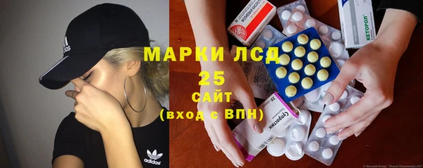 дживик Володарск